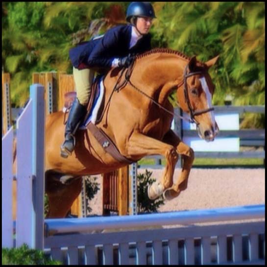 Free Spirit Riding Academy